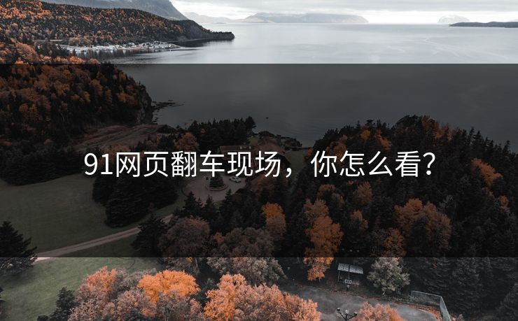91网页翻车现场，你怎么看？