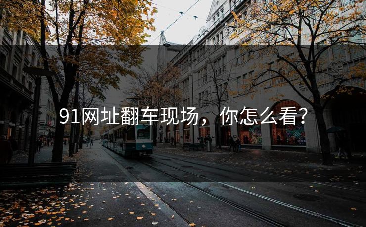 91网址翻车现场，你怎么看？