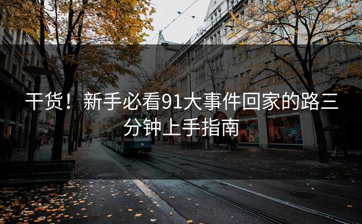 干货！新手必看91大事件回家的路三分钟上手指南