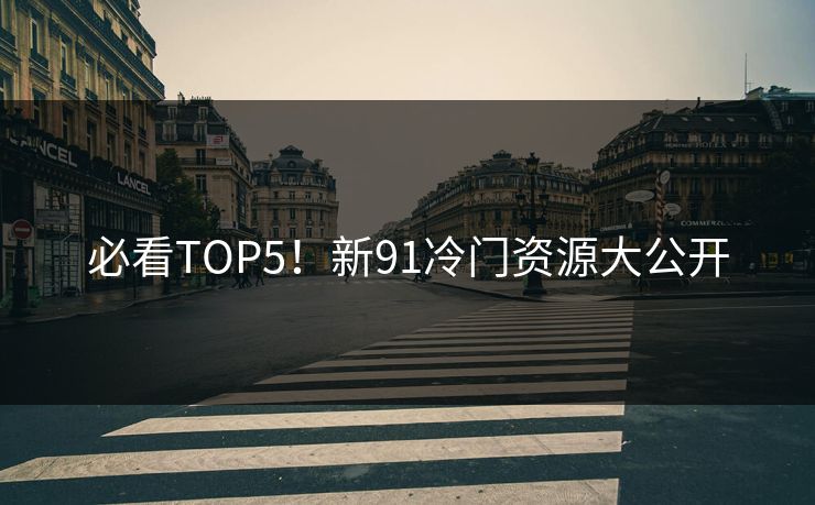 必看TOP5！新91冷门资源大公开