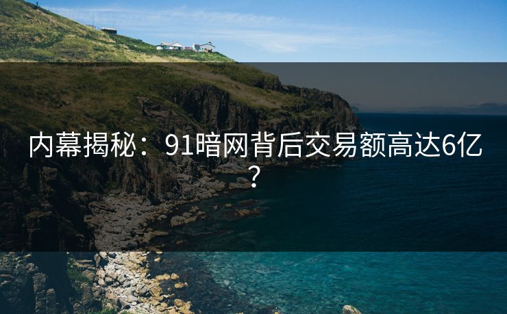 内幕揭秘：91暗网背后交易额高达6亿？