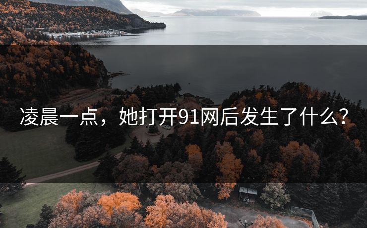 凌晨一点，她打开91网后发生了什么？