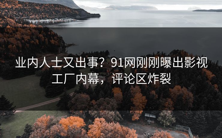业内人士又出事？91网刚刚曝出影视工厂内幕，评论区炸裂