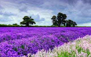 先把这一关过了：51网越用越“像”，因为BGM氛围在收敛