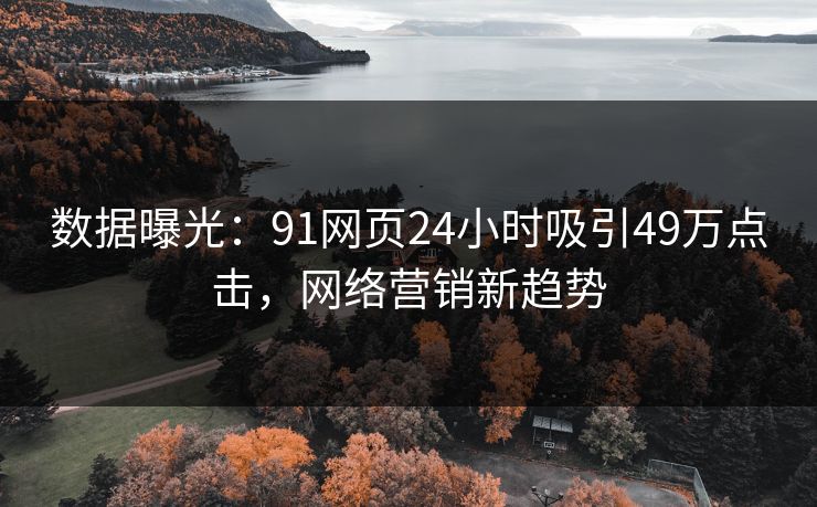 数据曝光：91网页24小时吸引49万点击，网络营销新趋势