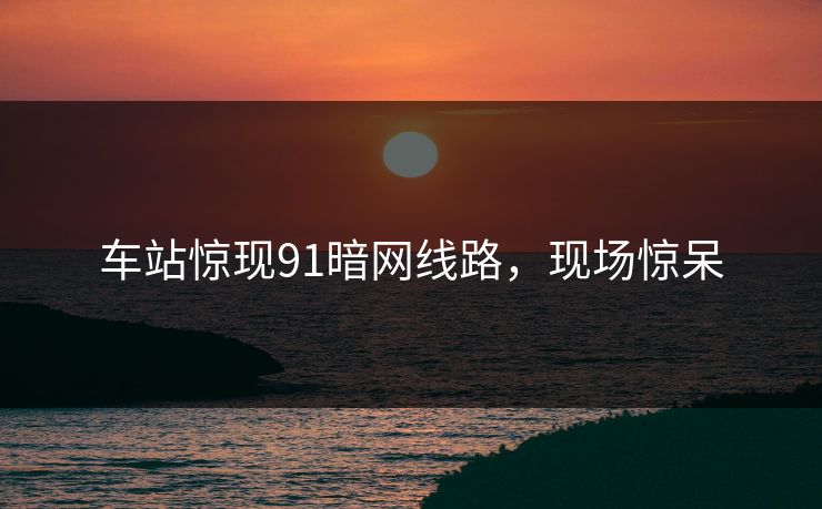 车站惊现91暗网线路，现场惊呆