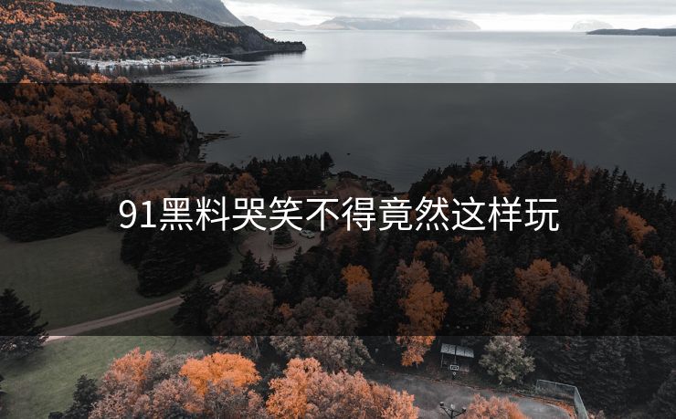 91黑料哭笑不得竟然这样玩