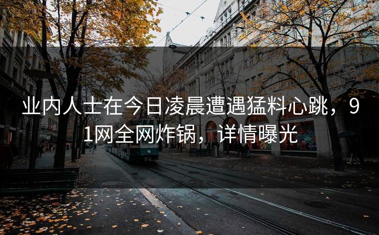 业内人士在今日凌晨遭遇猛料心跳，91网全网炸锅，详情曝光