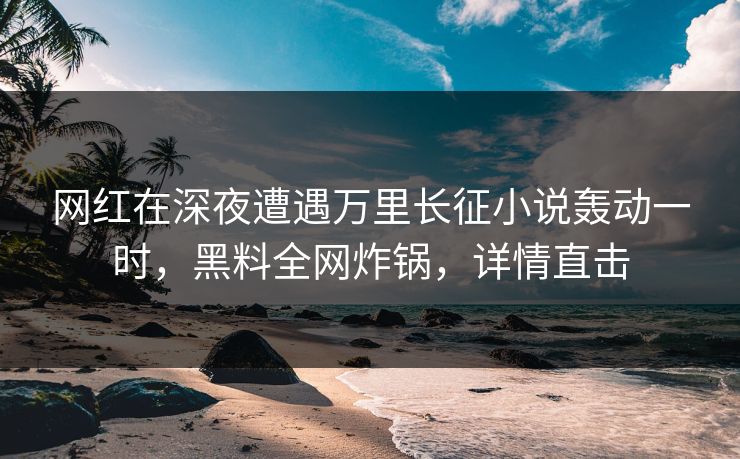 网红在深夜遭遇万里长征小说轰动一时，黑料全网炸锅，详情直击