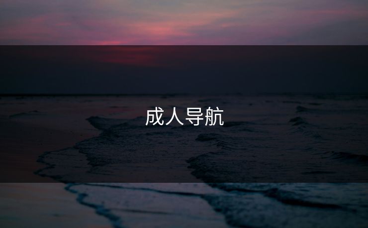 成人导航